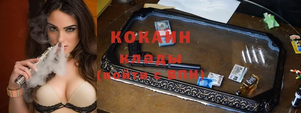 хмурый Дмитров