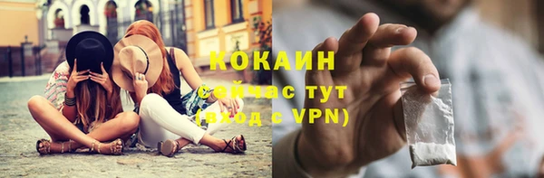 эйфоретик Гусь-Хрустальный