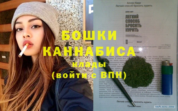 кокс Гусев
