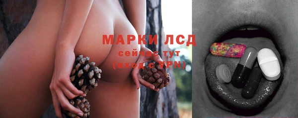 кокс Гусев