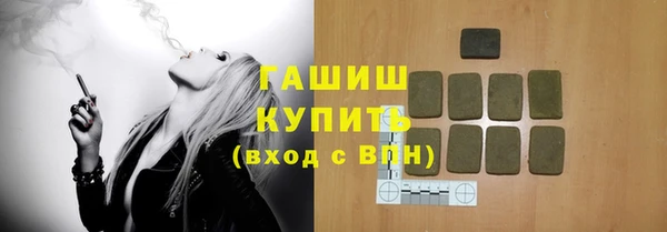 эйфоретик Гусь-Хрустальный