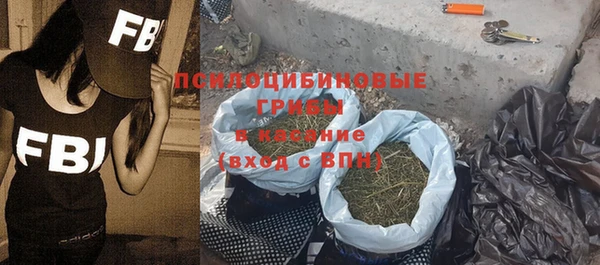 эйфоретик Гусь-Хрустальный