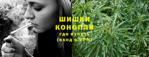 эйфоретик Гусь-Хрустальный
