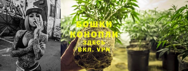 трава Гусиноозёрск