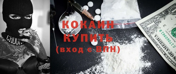 кокс Гусев