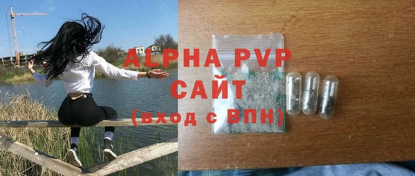 трава Гусиноозёрск