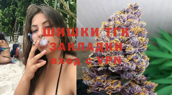 эйфоретик Гусь-Хрустальный