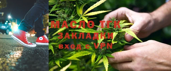 эйфоретик Гусь-Хрустальный