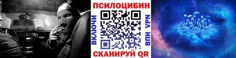 Галлюциногенные грибы Psilocybe  Купить закладки  Канск 